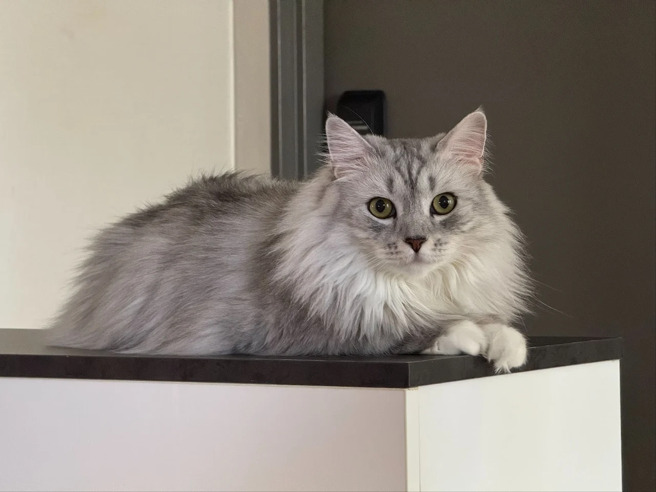 AD_4nXcQwYInACyLvzNDBi4HYa3gAnUYeH8fzFhvSht0ORUtkTcxlzVrg8DDfBWrW-lnKmYo9pl9MrDuu-6L1rMzDiCid-z1l-dxWNHc6t9iZ5up_y9qH7WbfsqOl_jQD8PVeelFvAERxY3OYHMgk-w2oUSRmFha?key=dv7FkT17KOo7L3oh281wVA