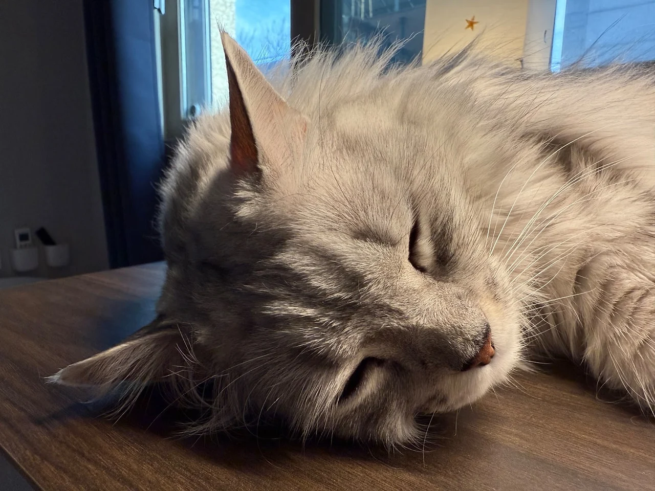 AD_4nXeyZNUyBY0YVPlbHT6GYnGM4wnKualRjVdRQxCtqxe_P9MYXAXzgDFMbsPSU8FD5UJM9E9_USkmOXbphwjDHB6EU4ZOgV_EwBrdpRbk-q71SAHzcrqs9NnSQxYzyg-tdF1pq_h30Q?key=7S8-Q1MuGkyL2_RqObtF-_ES