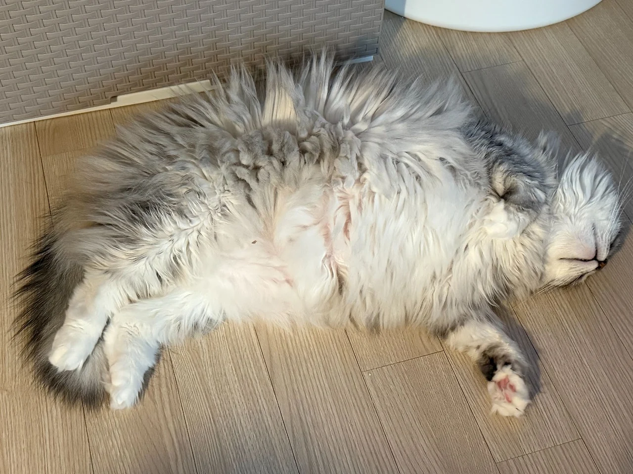 AD_4nXePZIf1dwrYNvLbA1s6G3qgi5CNHAbCKslPIFJMUYoKk_mTNA-rj_9Hh2a4l1knbLXfrORgdmQU5edQRFskMUHU3bgGx33g0eano7HaY9winoZp7imV1otfeLmSrIagIGAoCdci?key=67gfP8fh2whLrd2tC6FEfwJE