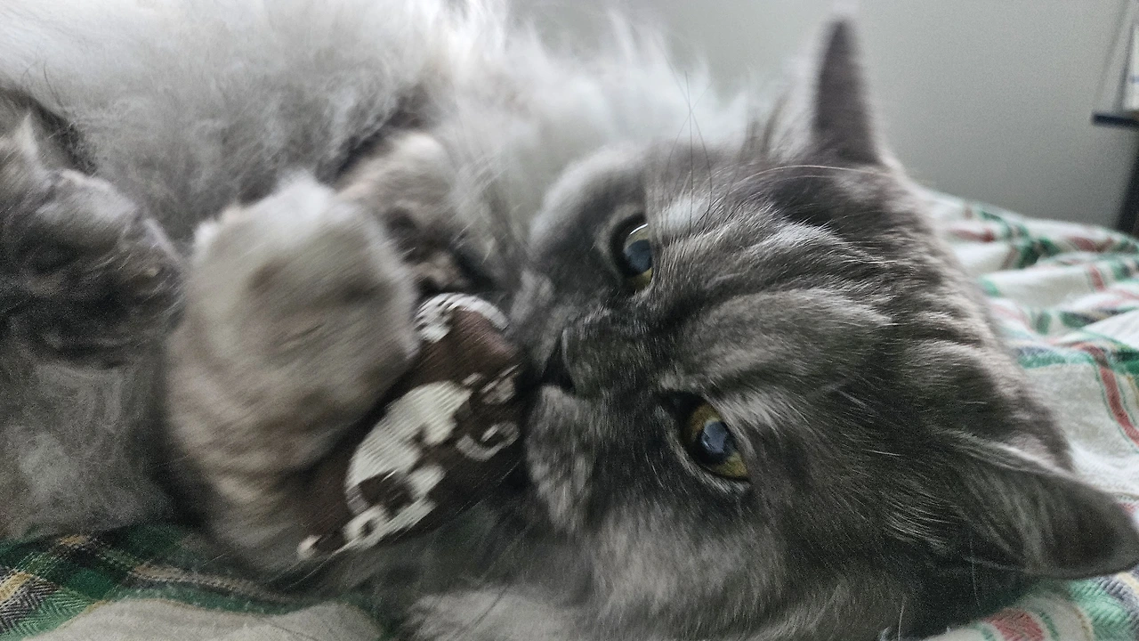 KakaoTalk_Photo_2024-05-09-13-07-05 001.jpeg