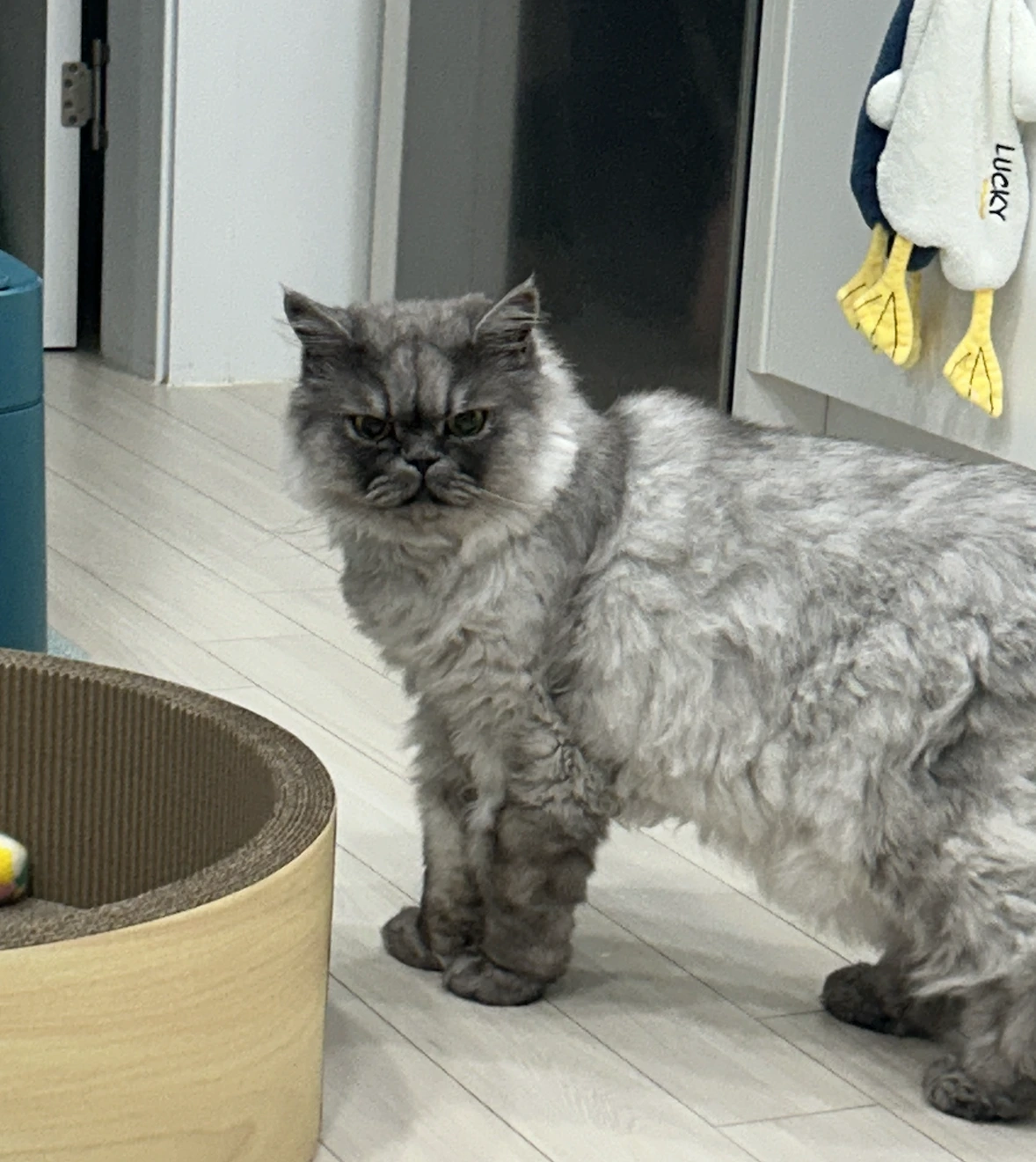 AD_4nXe3qfPFgIsWvghQJ-4QaZ95r_WWK9Gw7OKSxbGkP8V3LbSijibwY_2yiUeEOrUO1CjckFo1ZRf_DOiN9YSohqZ8bbNeNeqzOP-x2Ue81WPjnYJOOVINRuhq74jN_jr0S1KBPKgp?key=_nHxMQFAS7SpNGNgakapNQ