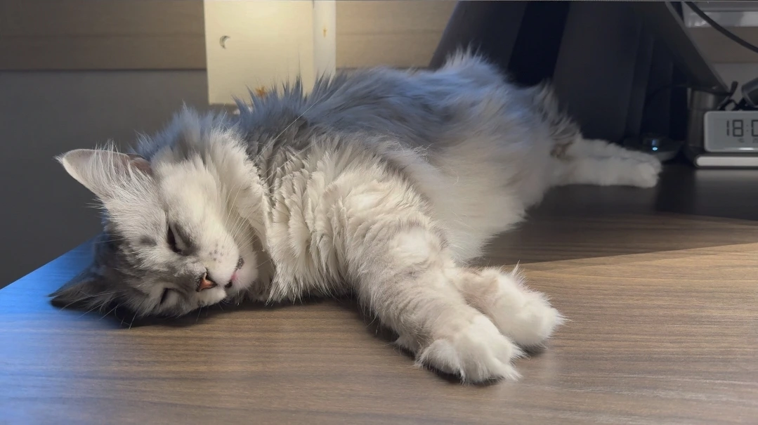 AD_4nXc4A3OXAg4pBOKCVMUOzA2rvRHRhYsFP_mwB1FM8DRt3MxzAssb6yrHMklICeaMAIvVyDlTf9varspmjrVMmSk8VIBZQdfj8fen5jfSIy9JW6OPwbgespdCdfnDlsKwdhLCxXuTXQ?key=uC5rcdEFncF56eXW6m-WXyuR