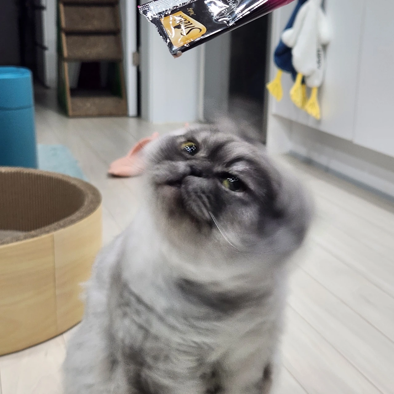 AD_4nXcxAO6knJ-alR-kk2vKXFHXfJMlj8mJ3p7Awn0UsUi0ZK4frVBYGDLu7L5L1klsYxyVAbYW0NVKlRNUtQCf74ccQZHN1cr4clbiW5fBBqo_8Udcr19hKnIDVEIkYhtSQHsQvSq_XA?key=_nHxMQFAS7SpNGNgakapNQ