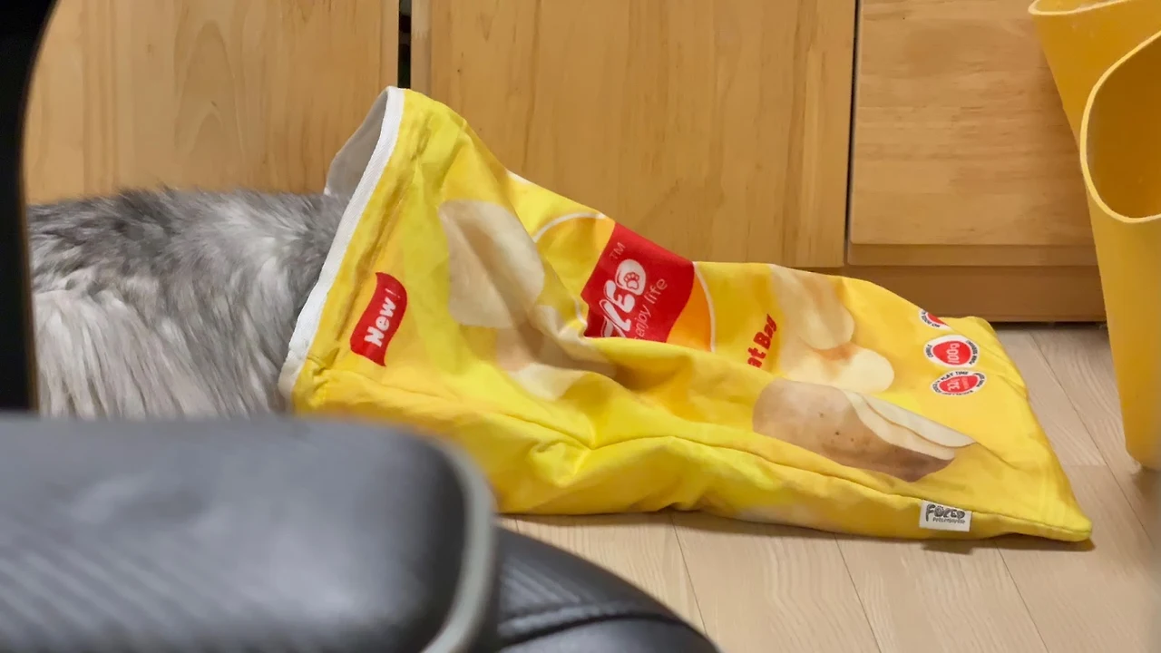 AD_4nXdfQ8U-cVFjMSXZ4Di_PDoPCRduoqBkNq_BNVJWjmDSe1ALyVEo0lvBPfuwVmxkl6uNPGs6dXduBFHnFtpIICKObGahtjUmXl3Lo9szaF6-3Of1COvhskbbju0erG5snrEhBVnkeQ?key=XYCnuizM0PRZtNiqt-zwQ_l-