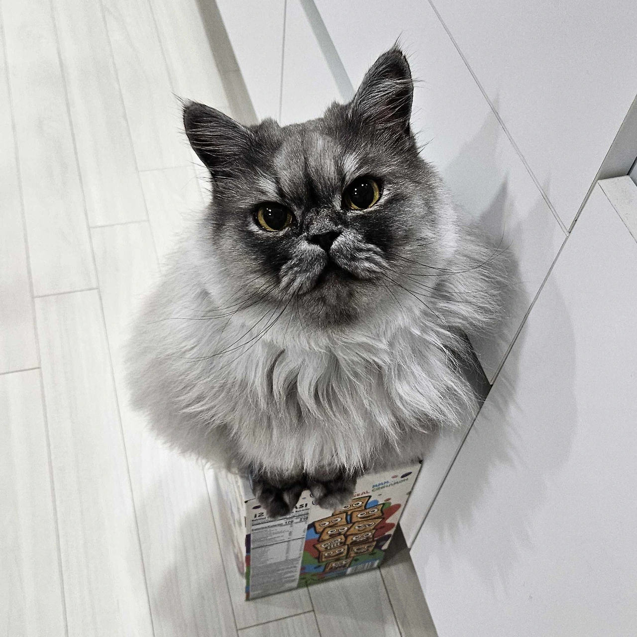 K8uiPGXPDAJM32Ahit3zyRrcWXNbzFFhi3WTUGqw0pINPhyN3pOVRUt80XP1V_iJcX0BQ6I_y9amiqiBmJMR96BprXueKs8Ltw67CWfd1yJNMCbqPawV8uLtu6dFZ-uFRCn3amSoEXJftR4N5G4mFQ