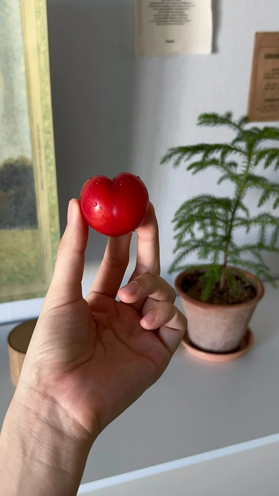 AD_4nXcvZD50-ROixLm5BjHDEJVR8akUkp2Y_pTtzUTwLRr1xCdtAjHWKWCOGBxikthJ3-g03xD8DCar18hvzRlUHeIrZkrVJ0CfQVI7i91Mdq69xikoCd4YBPjiO0bngs6jIEx9oBorOA?key=TY2RTeBYT1SAjhVigvk9Wg