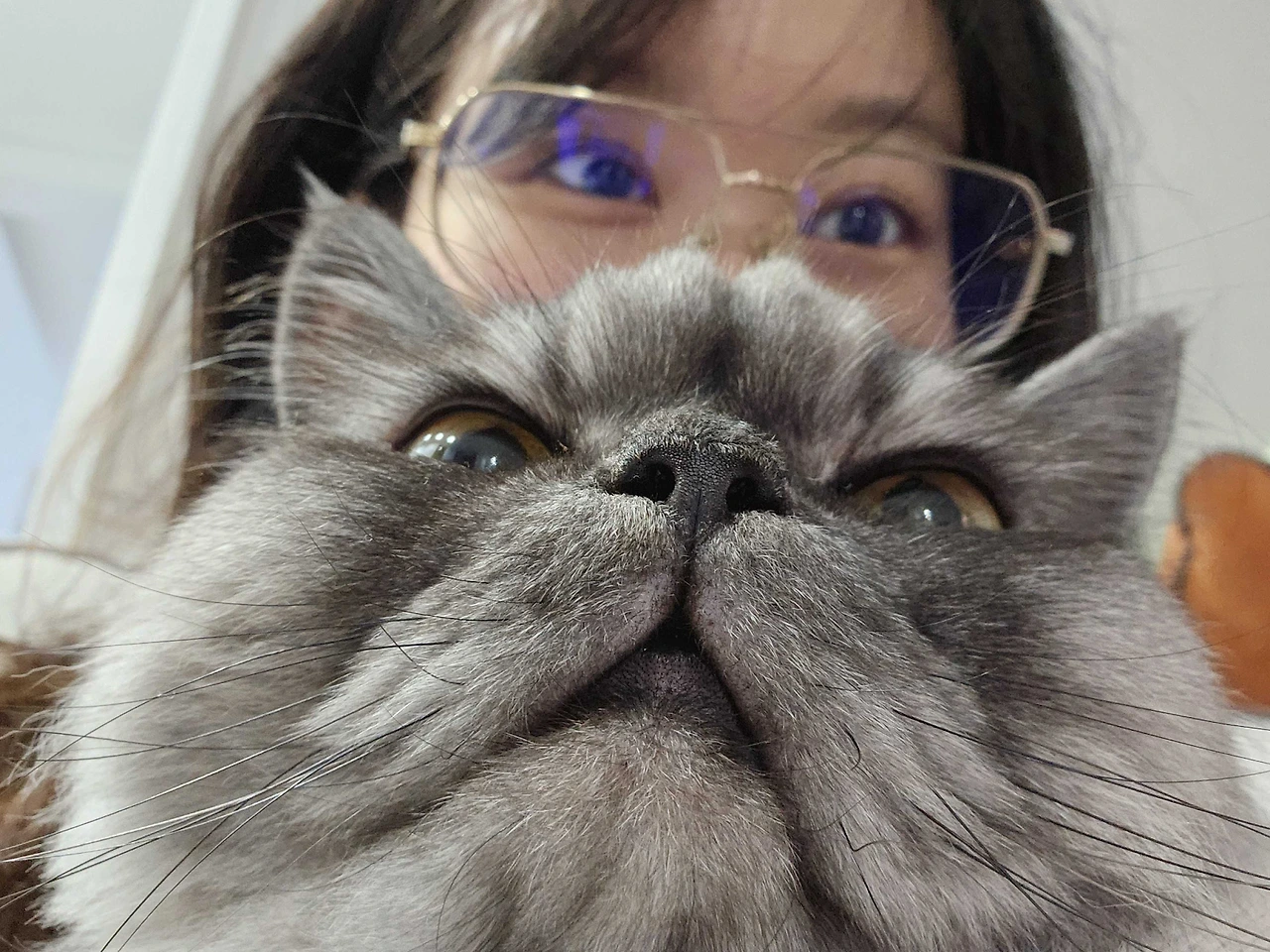 mv8acW1b-T1RyWmv5xZ6LJb-WDlLl1SbgaUmDC4rF-eS6-1mD3ocKvYc_n6w9nRuIFGRFnQWpjADTg7bYqwJ96SnHyfmZ8Z1hbHdDlDe5ygA24csyqEfWKkWRY2qPfiWtyKV4Cc0mjJEHyh9hYnlRhM