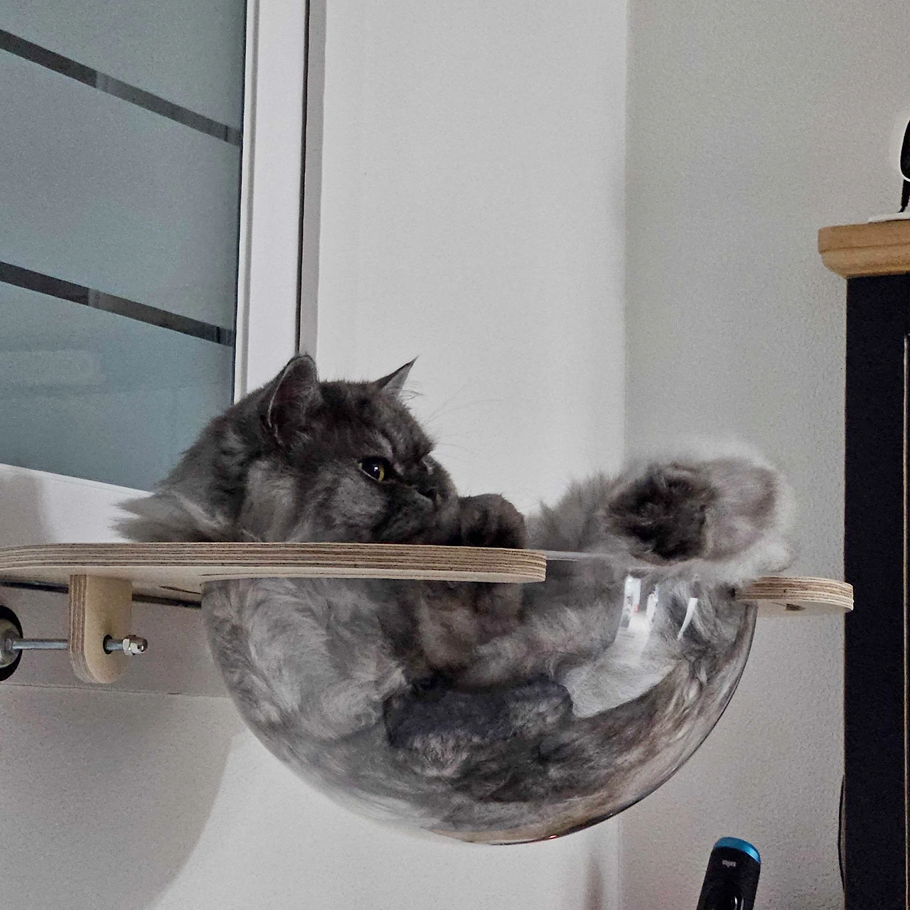 eZ5-jWmTdf1AMTK6a7KopaXBuww0gd87edF8ZVxL5Yit1K7r1WWvyIia-0ZgbqKkc-WuHZSJKcyZ8fCfLojs-eNLKWKIdyPyYozBldCkVXnxInuQJehLC_kQsf2Z_VH1qzdghojB3ZEAOmXvp6r6Bks