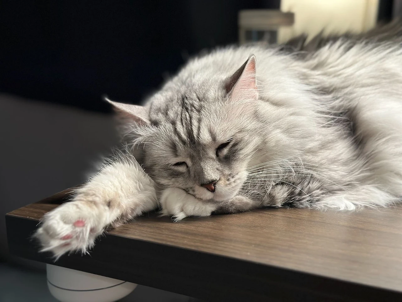 pYl9lXxHrOtChEvBMyIzxFkaMP3n62aGeNejQtimxYb-hJiXIHtyYm4ipqNQHe7qZ1_IvmtxyDjK9wFWA71tom3xaxkAC0H9OTtCTA8gcjfbxKGYWOEVSBu7U1JAlxHExCeg3TOG2DSTckfKQzwH3oo