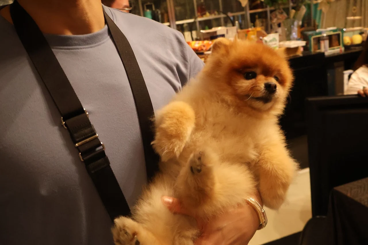 AD_4nXfIq-H3HfvUs_50xol8i-x3WVUritI661MrpkyhOxJ_Y7bcjpMpct2oHrEoktmPqLbYnvSUC0GBFqWC6FvHXNo4X7kutdvsTVZT01Zvdgb8ZMVnx3vinj4JVi0W7Hp5KgAqZ50MAw?key=NHTdxX4e9TT9arLOWBDgR7oR