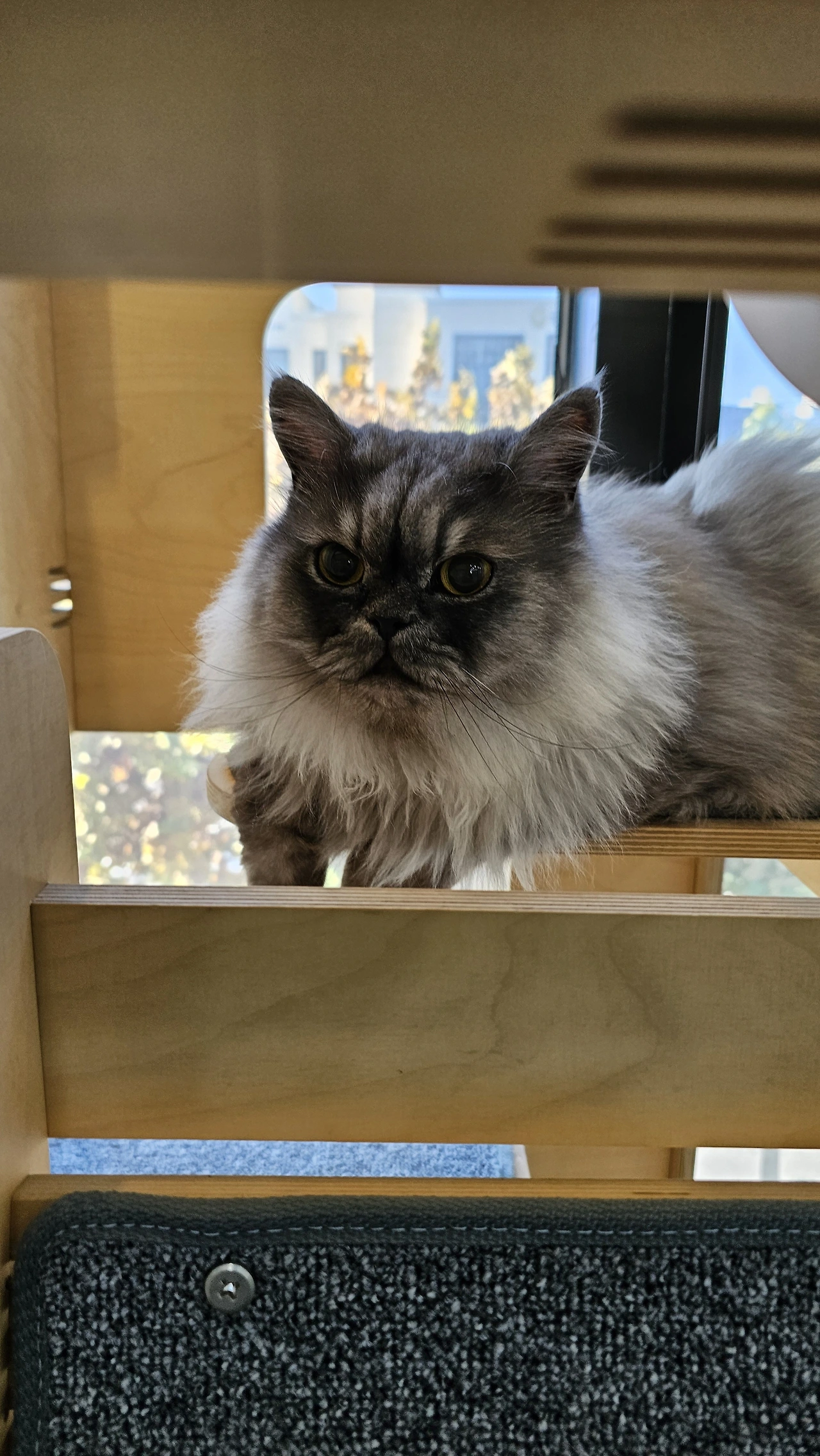 KakaoTalk_Photo_2025-11-28-18-19-02 002.jpeg