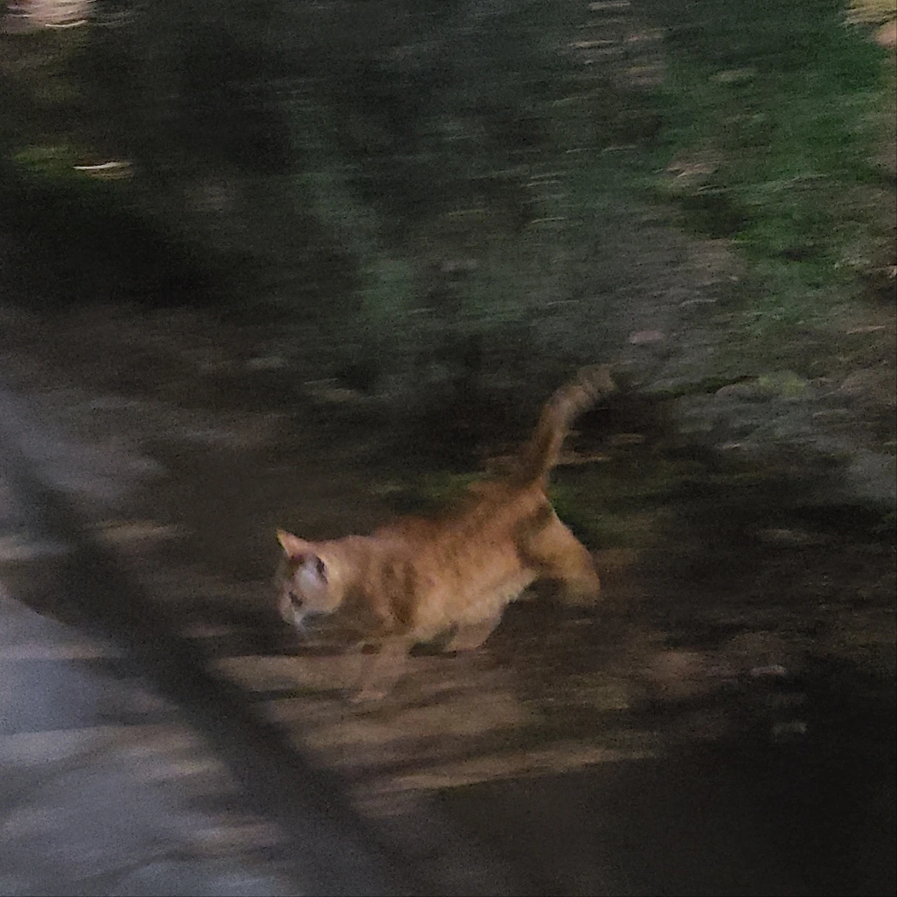 FPNFfRT81nQwQbYSeQsIX_h19g58ChRtuiT9IeYXumTlyPjF61jtZN8xNKsfd9FtR5p2wWQQj1K2BGoidsx2m9HXkeoLy2om-QAqQOUehGdGK1Gbg7_2iyhCSzj9rH-t8nqQzu5q3fyyNkqkh9wXw_4