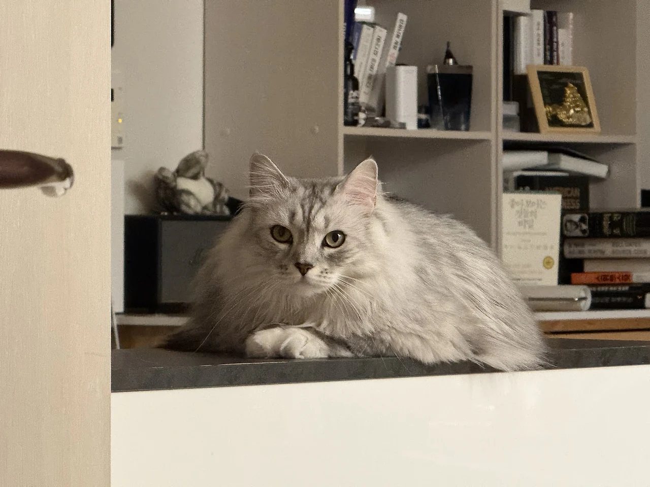 AD_4nXco9PcnZIMcT16eaq4GeWRQCrBfyJjeYjw7wm97qRjtwz3H5RQpTXQ_BLlsZPJqCJ5KRJyPK_xLbOPed9c2C-vOyVpBmyiBhGnjMBHZrrlV13ZStjZPnU5IWGpKXJELj144Ur_v2g?key=fh_YgxKRYK5yBARJo7mMWA