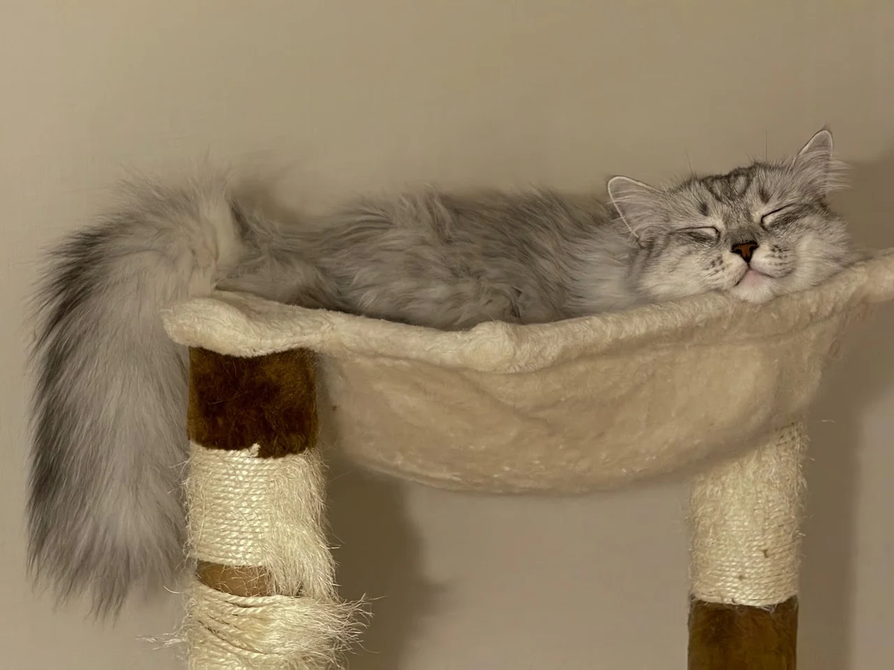 AD_4nXdhciXCm75qFSCq8i0j6DJReYgV2wtfT_axBx8xnnCIXALoLUikjAdPKP0ACpOUWrACX7EV9RuM341qy7-oGYxAjrAHnkkJrdPgRSr4ieiDF4H4WI_QxnignBjxQPJ47kxVf28d?key=Pvxas8uD0qEPvpuxTguCWg