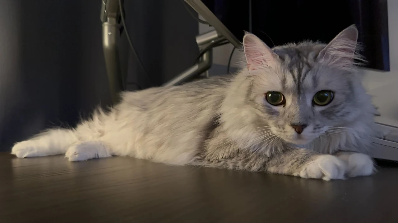 Relb2Q-FQxTiUqOcVxnFAeTevGI1AWvGM1SnoS-6DFkm7AnzkLWABzsXC_Q8SDWiI60SVpTO9T9IrCVYiDvWlygD1BJ8msoxaLm_qUQQu0wVEPExIhCv0aAXpSNBtGw9QC2EnCEmBPe23hoX3kuaWBg