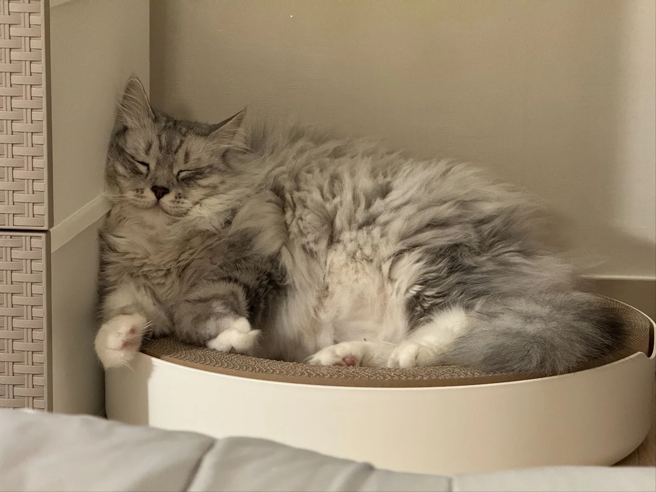 AD_4nXfkHr7l_CpAeTiZun_oWl2As_Rx0KE9OBPgcDPWm-9tWyoBf7RFa3NDVIk6MO57scndQeMwtCfbqOdHESTGaOp7A8DvlE-a-5t2Bo5X9FvNEB8NDyuXu9p2U5PfplXsW3L4fAXNfxMWh_oFFli9SRgqiP28?key=7PIDZOAE_0lTqsWpQ5EKrg