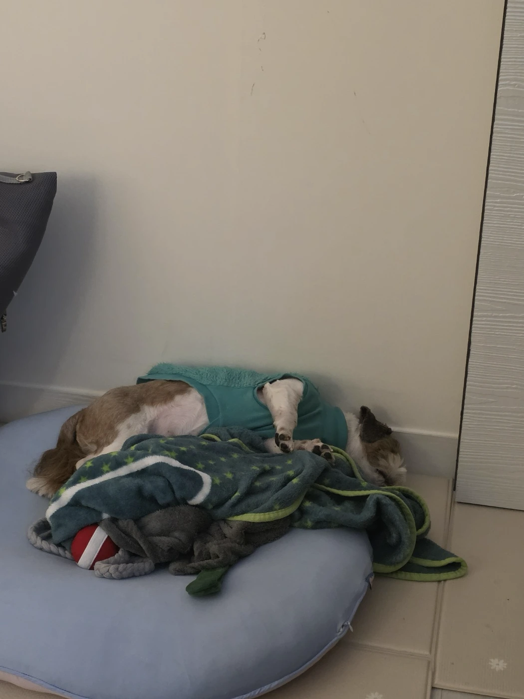 AD_4nXc8YxUkqlGHGauwjOy2IhwzMeG58EHE7VHAXfHQ2gWqCCjmg6q6JZHAaKCRwXzzW3J3W9kcZYbtDNalzUxAfV8B5ChxYPYZPAxyIMf2wnCYaVVSE6wlc1hEkbG5ELxCjzVRQVKroQ?key=Ohe1cIk7X6dFuYhIn5kQK_B2