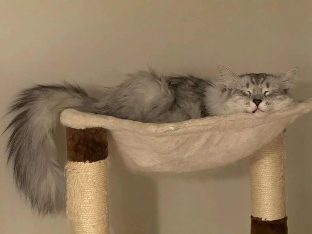 tByrt6IVT6XGXLDjVvFkX-EwCTgpbA6ym1i-rNNy-aD6AgrvK7PKwu8u10Kg6vL4N_qRFnaq9woN1gL57NkY8BaX-sa9aJgTBe7atJE2-rwT5Pe_ou9Zm9A9uKRgy2FghaUsPLWDjzucM2kTURFDVrg