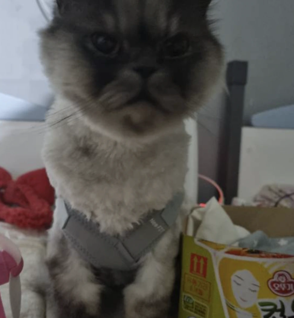 AD_4nXeQiuYV3djB8SYlUb2Caovmxv7igy-IAvEP0aYky9xgmgVLJTNrgy_4slW4wjUM31suZ1oWRIHQhMLrp97t3InZ9h2uTOEiT3ZFnWayXjipfNCYjG1wh7lBVszKKGUOE4WoqiVo?key=_nHxMQFAS7SpNGNgakapNQ