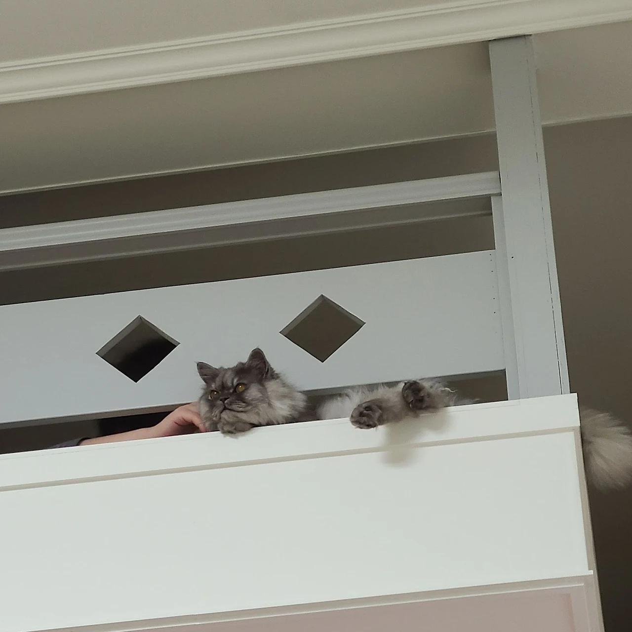 AD_4nXdkrPCgLFhf9PRHxJjlFEzmg7w1cH7l6QiXpLCXqWIBq6cQyecCI5Irpeg8rdxV7ctOcy2cEMaOaBI_4bg4dKFJCnp1i0_OYBXQSqzXM6TqlywkcmXz_8qaEammJzY5pSWi9vqF1Q?key=qh07ans2PJ2FShohy7qB23Q6