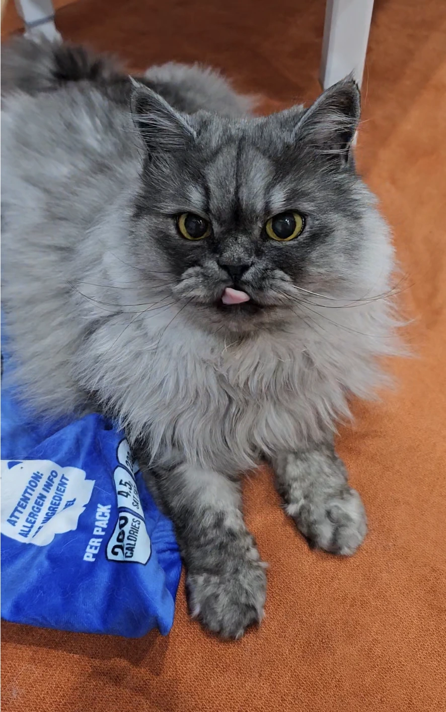 AD_4nXchhxMUsp6RZTkBDmNem6XApjdfcxe9TjHr1fxItvKOAdB6_tJ43chwu80yCyElQ6m5Y2rfciNnCNfzpIXnCb3PRK_hRgM2Ra5GyuEzCH_MHKRMy8R3_B4OihMcOnA5GNpa30hGWw?key=R94EkAfbLA5rTbucMTiXEoc_