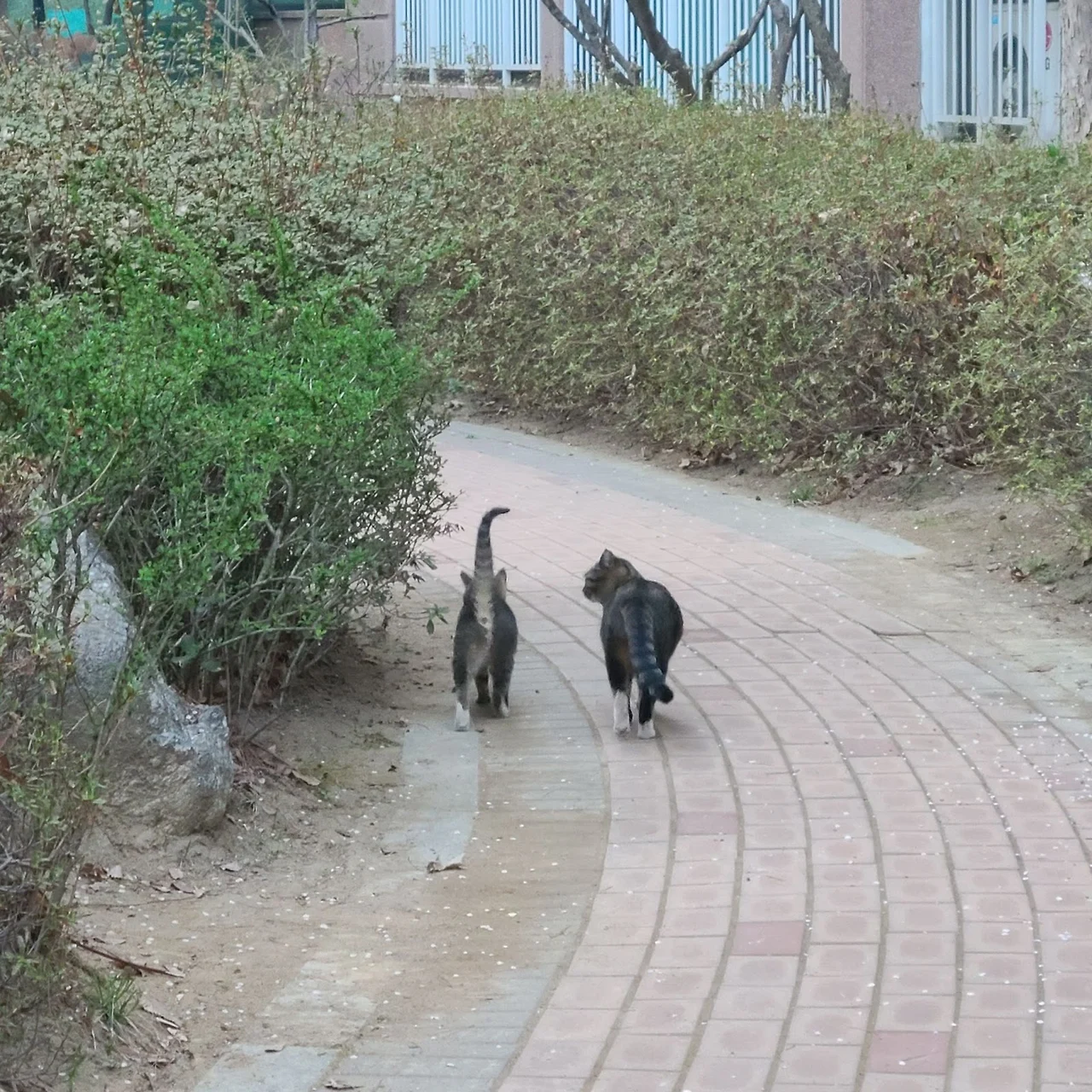 z5fDpSxMq1iKvYYHxNUFFA7cbK8HbfK53BeBWULbRaBRL6pNbQ2WQz_4QXORqkbrvK5yHmkv__WldenBrc-KomGT74XfUhMnSP8ORwK_zwnVwChq0jU52FpjnN9Qva072g5sze6ejbFArmkgTFD8t38