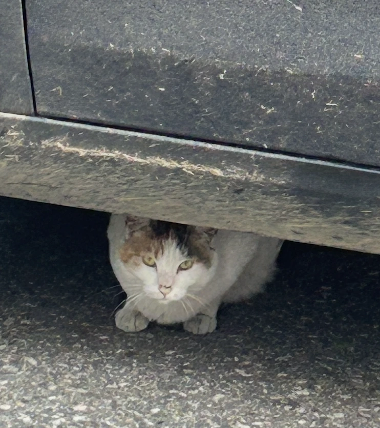 AD_4nXcN9dpXA878cCP5yMEbfNtjP5EWKYfT_G04Dax0NLNZSH3KzLVBUb04WCqbh-4tp_Ocu2XC5iOfd9dhd_4hb3toje8MMSb6CC42XEPO2oEPOqjHo9-bua7ph3UyO4GVtXwpT_Qpig?key=vIzTYcG0QbB50j-xPt82Bg