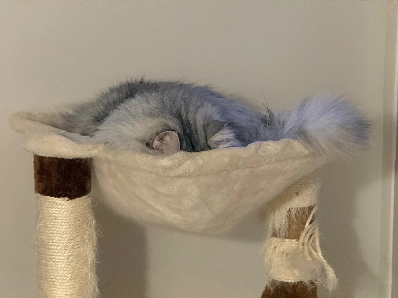 AD_4nXeM6pFGEKZuo7PFrdHsn7989eoLHthokvCMfU9V3xtIhqTK54rhU5yp7_l5hDUjGauxk5ZUqJ6yZVmY4uEZFdFTvnOynH_f588GFNTOkMNyLWoWF4qEQWWdkYylO-ZByYeQpdIU5w?key=V1SGMY-mJ0cwo7Zd_FMFjQ