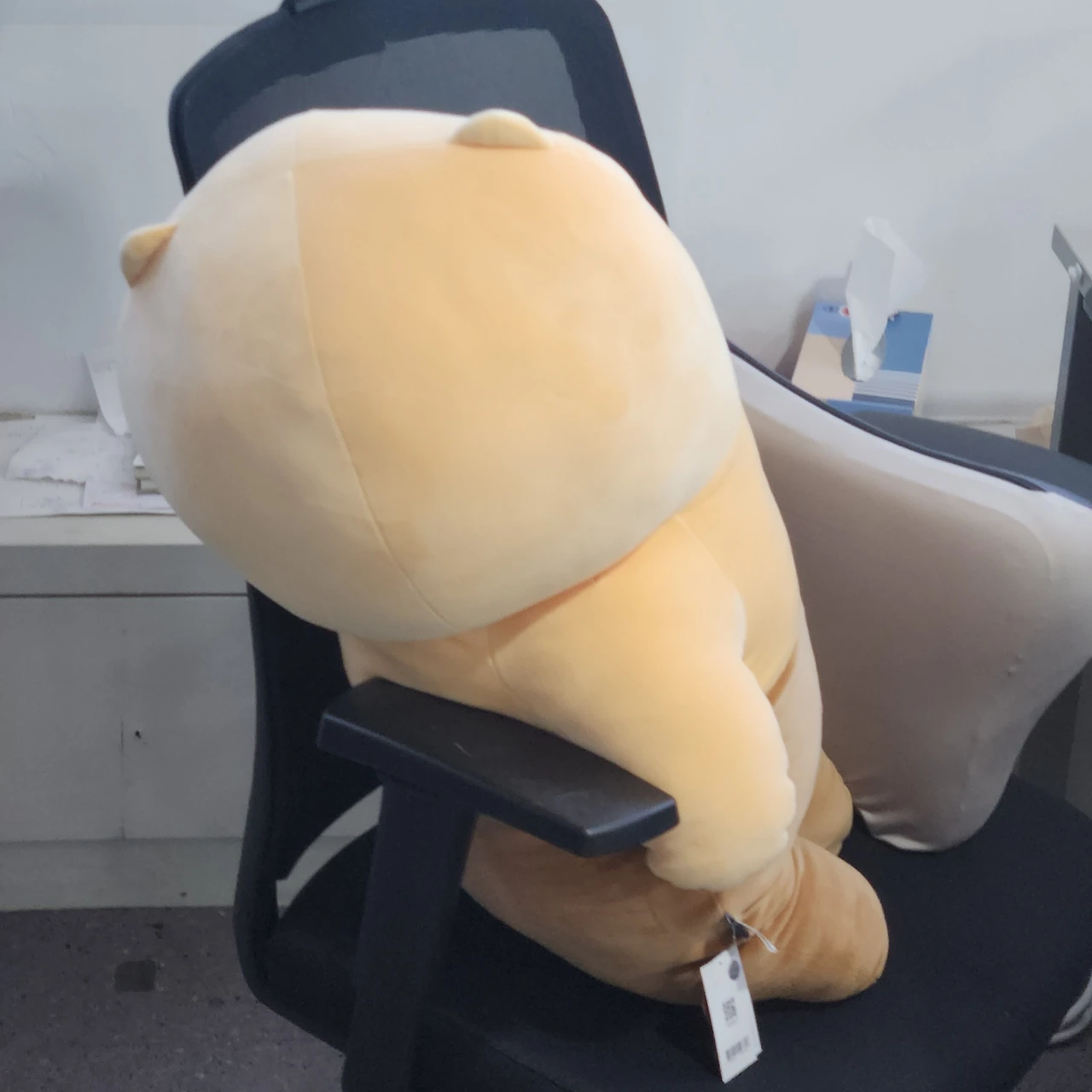 AD_4nXctdOEe97jZ-hodbZ463NqfoBvfJQcc4XK-8nWPnvdXNBylJH57VVN8mv0Nc4p50Lh8WFV8LG4CT4MFDo6xjVrE99eqSnb-Mfiwi9bdb8vQ6gsaZhXua9x4pGJaZhV1myp6JbeQ6g?key=uC5rcdEFncF56eXW6m-WXyuR