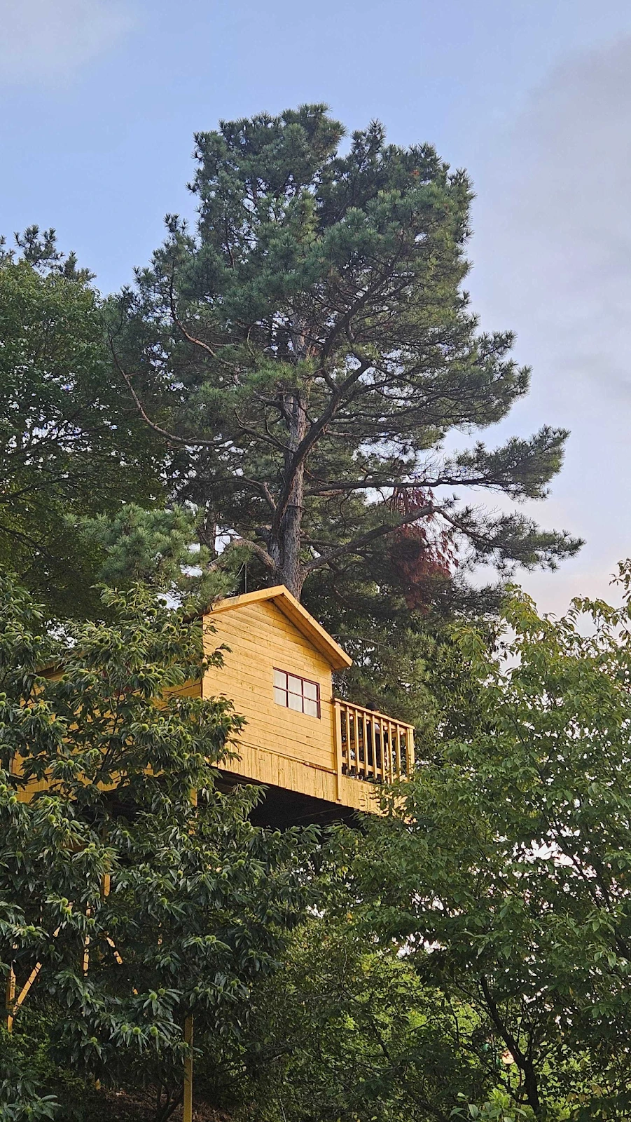 AD_4nXcq97yqzgSNrpLtSIuR4JEGb7GWJCYbPmhcJYjLSz2P05kIUYY7fzK63rZ-98o6aCzVhEyyNgHKVHyd7OElSdkHs84tma0v0HhiUhdCP-e0DZ_SQdY8eZ_8cjV6q8ZTCPlyXPzjlA?key=V1SGMY-mJ0cwo7Zd_FMFjQ