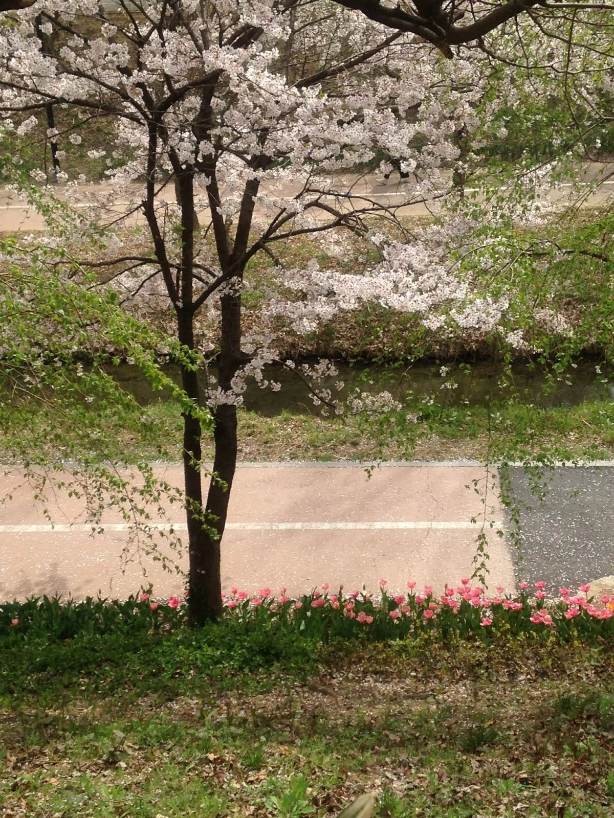 AD_4nXeVZrXWEnUXs7SfcKasehhPA8KMdXd4mc1iTTsnjx2--R1NIMwR0MzaJ2C9iCi5sMUWmrzfzHVAbtYoiHh9MRGCiNU4AQLYX2OtlZJZhvzJncwbPQCFPl_YYrpCmZnCZOpVxTdWqg?key=gaN3xxIo4UWxD5wD06rryWLU