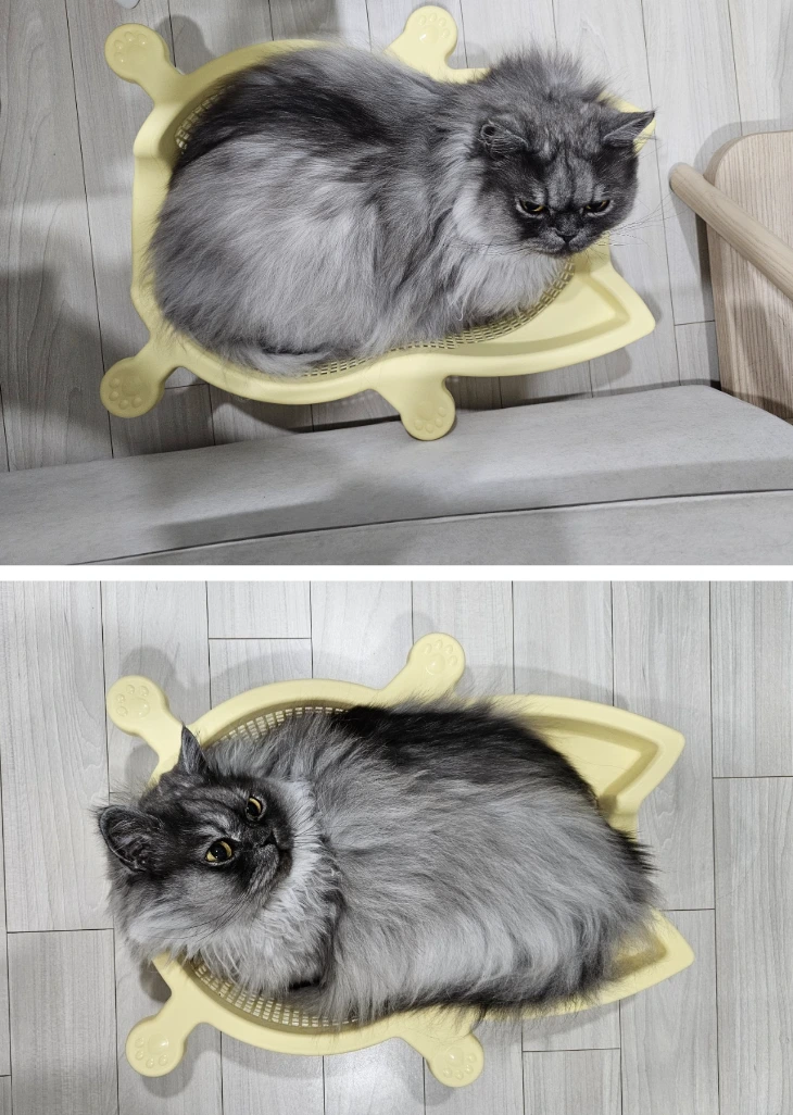 AD_4nXf0evJvXN8S4G3JUtYDTtYv4jT5uHdKQkKiBZO2-vQM4tsTNcogM7_S1hb5f_gyadb8HATk5uZVOdbCjfpTklNs78cvOiiFnH3DzCj9OhD1kl2OL8rBeUG72wESgRAopc7Vkg6DwaHG63SE__ppe5yS5Nw?key=dv7FkT17KOo7L3oh281wVA