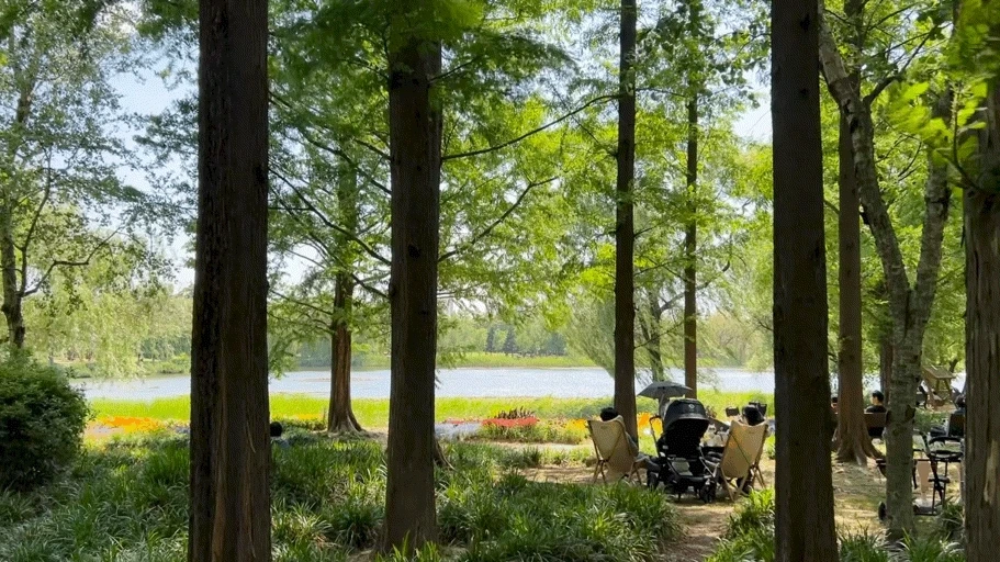 AD_4nXdko9rhkIa7NwoGPkgdEs31QD9qd7zUyFQ3Y_CVfIdWgCeaiw4c0Vuw54haSsrt5tuMRYwVg4jZ5fLxlXWEjI6KvdAbSBl5GW8Vm_VaytsEVrIyP0uJIPWbzppKXH-RtLe5tsFwhTFvRPflosi4XjIWa8WJ?key=ChK9iGSwmCgFmeGb5uiDhw