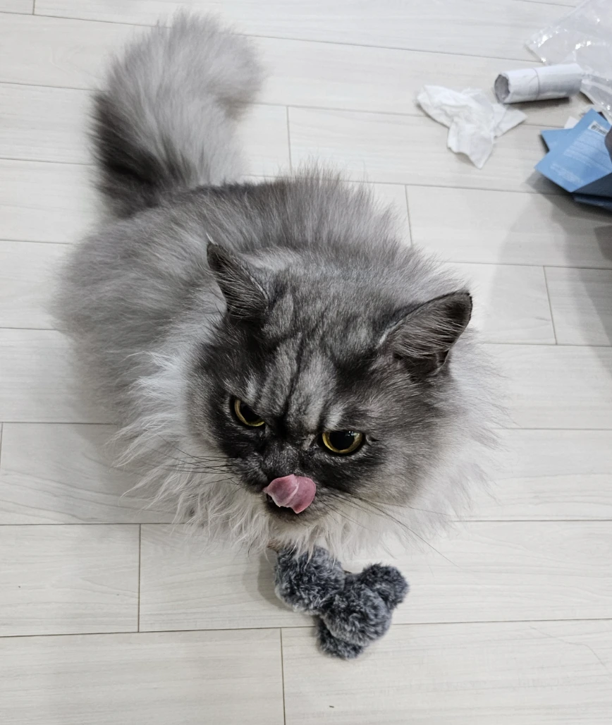 AD_4nXdpyzwUSqyGmcYG-TzexMQ-EczQujNCgYhQIEWB540u1MXLiMUGzMNycelBdFvwMuhDZtKKpoE31nmrO-HNTfiRvJQo-z8aU1wdBYmsGLNY8CRsByTv0TFx_vR1VY6LWsWfbddWlgfdPAcTwFyB1jpYHOd3?key=HwHT1PuPT0zb8qHXLsBThAAx