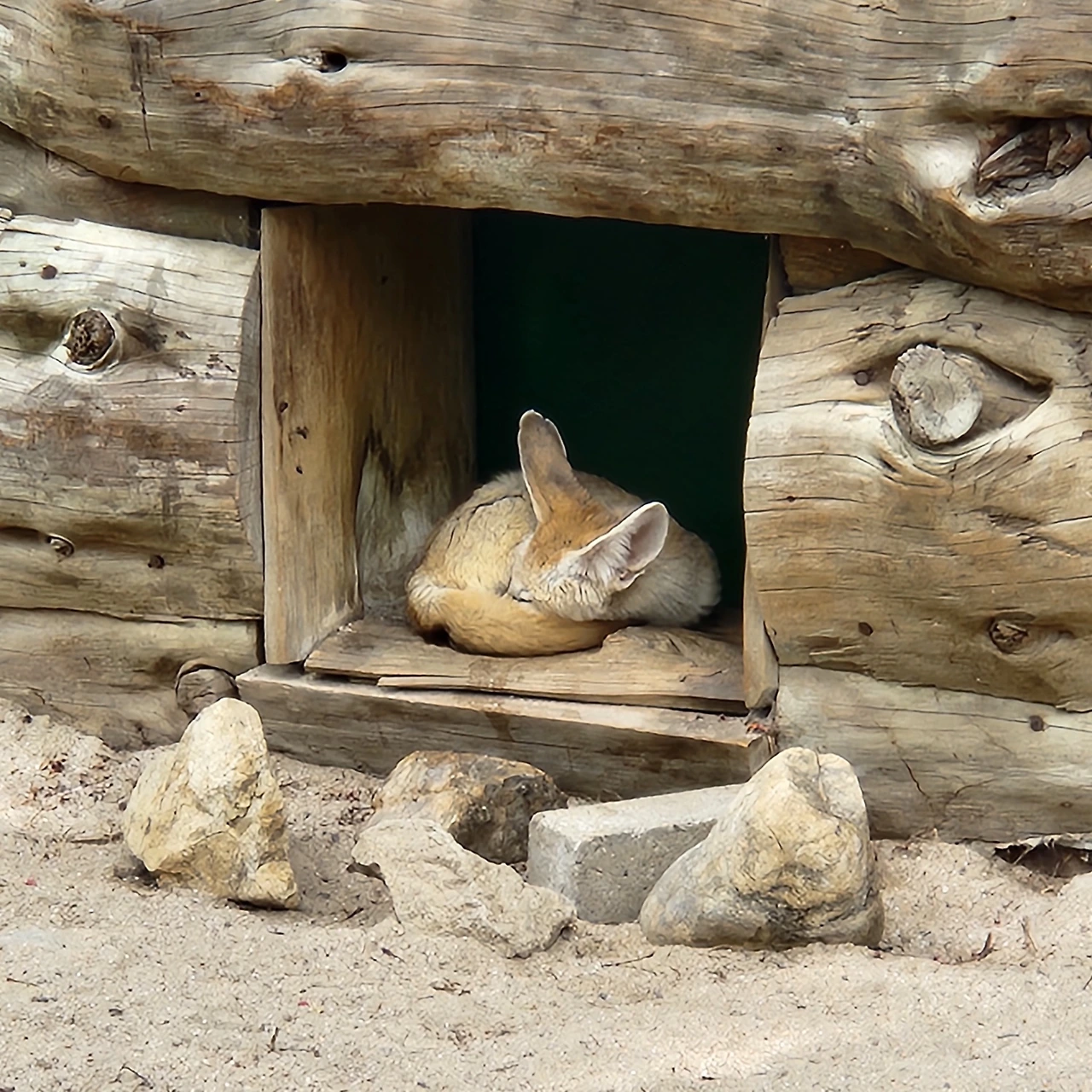 AD_4nXdlbgH4Jol0QzaQiCrhTzwy-oPXKDiVW_bhdVrfVea9X8GDeGJ018MLnyAK0iJ2jzJAr89xolMElm9DRS727tpPWRuFTQizHsrv-fo64B_Ynb7stG4G8sHLj8UBEr5yskNTMLeLVA?key=fh_YgxKRYK5yBARJo7mMWA