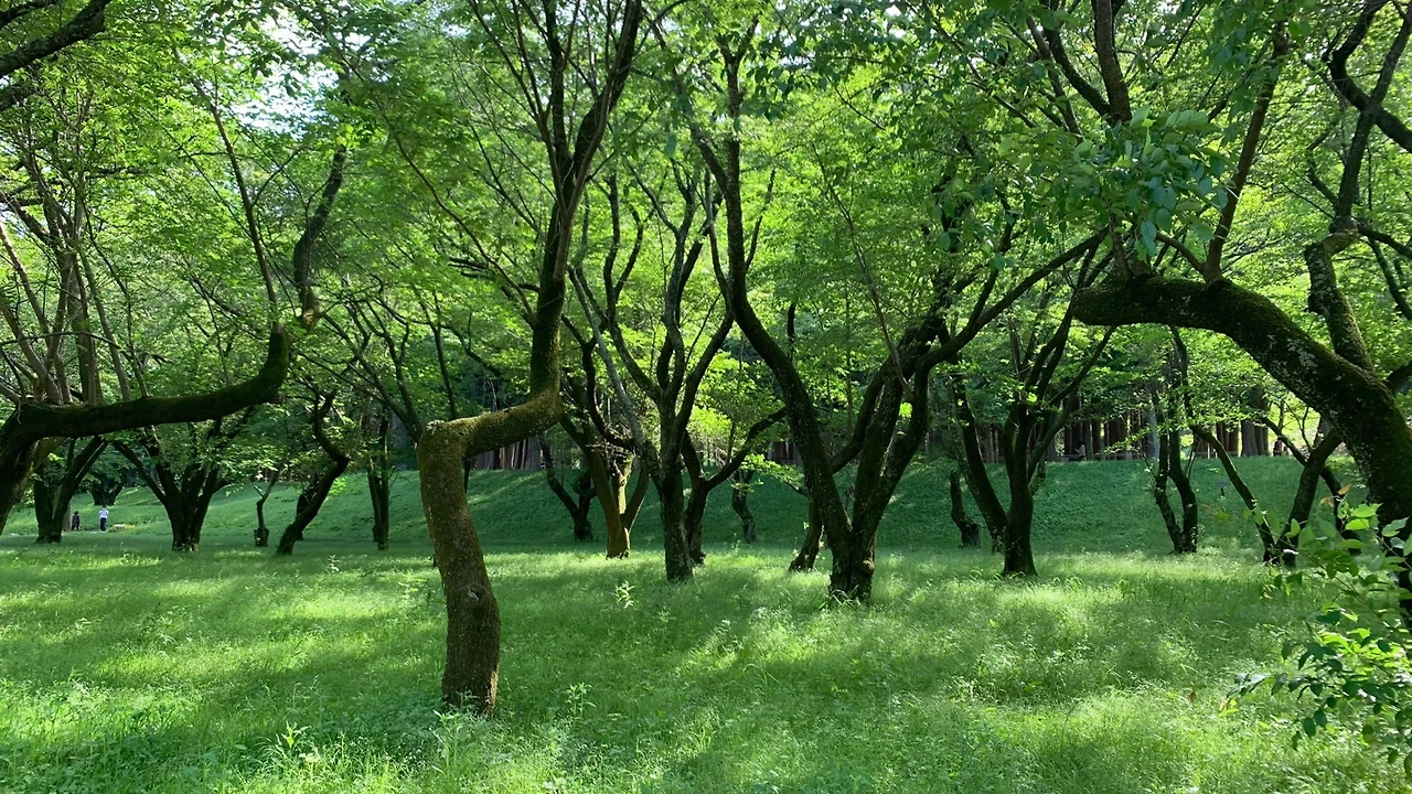 YIky6Mr5UZqzssD1aIYogQ-rlQJemws5M2c1qoUk8RorK7WVz7nSrLZMLmfy-YFwAQAJ6ypl8UK7gfjkjmDJnos7YYuUaJKpgY6dIiGwJiQdITmCvlXt1swGErTznuMaC7njTBxZgGTJzEpUQPnd5hc