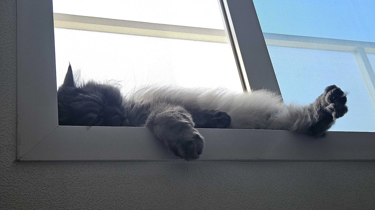 cCd3DxrloQKfAIAhlgj40hvQxICpvEjSoT_N9EXDxiaKuxPgqjXjd1z1WfOXz8MeLetrVSnYoYUNie9cisWnMuicVuFCC2hawRp2bvMJJiRMyKDFjHwN4130y_apC041QDcqtYjnBVRIh1_-NyXWTtA