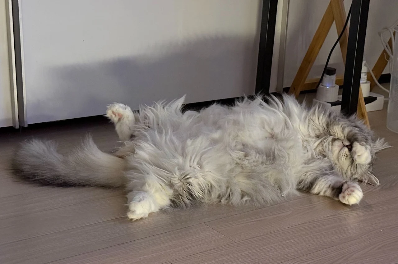 AD_4nXepVdFgGJqWpau0BaOcJSDoHqh5byLjX33y3ApMT9tFrTSegmRsngQcD4BjnU7hPHKcvlLZpJcwWkFdyfyoUbPi0p312izng6JqE2Q5QvdmwQ7bzT-JHcB4AUe_7Dlv9VglfSaE?key=HwHT1PuPT0zb8qHXLsBThAAx