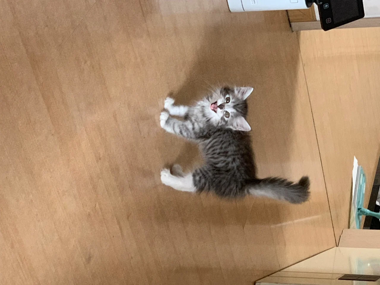 AD_4nXdsrCXTjUplzLrFoCFuoEuOKmG_pmgvn-R8C8YGYwlEiDipXaLWw44JdyZPSBLaemDeXLrm5hgCQSHyvmiU0TOyK0JiqsPYRjdabHzRA9QpQjJKtsBPRpmDYlOTUohTJ7SNMrNDJw?key=Ohe1cIk7X6dFuYhIn5kQK_B2