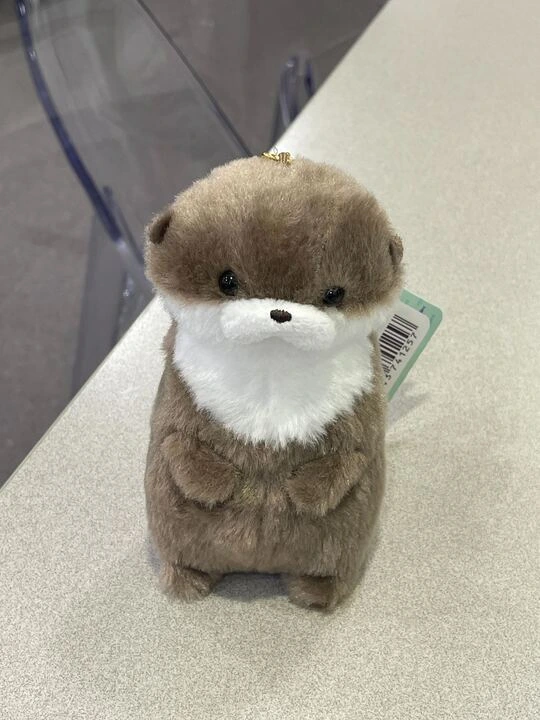 JiQtYk0qU9o9Xtafh43tx3VAJfoY-pK-w4zSD7n-j7ioHCvInejw2q1ueoK75A_Bp978YPQitaduL246mc-cznWQiigtHQnBoXZmAHXTIenkBTfxMGg2HMhIICAbUNCNV0aww2I9fN7c44rQMvK_0Q4