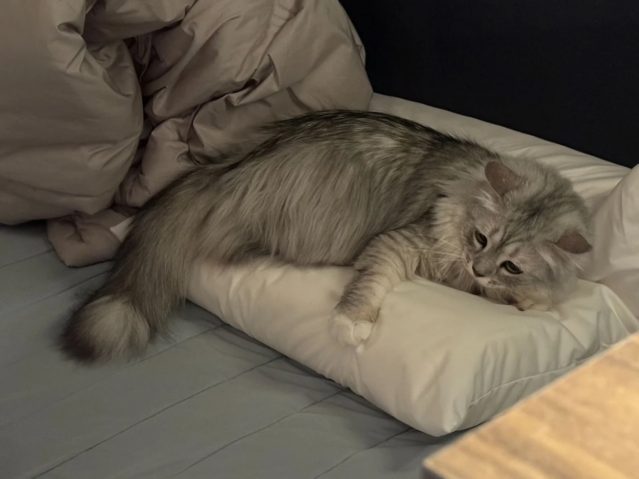 TgMGzDh6cRurvx1EpzdUbdKxLLKKBa6CJ_ru0uWvjUKXtCOuykZ0_C3Nh9kBejUqByCb9ZhZ1Vt4BkUEg263YgUf22RnsejQjjjvD9sfo_zDM0IIksaSdJFMQsBVVZiIL8Yy7RA60hO1wyiJ4hVDRw