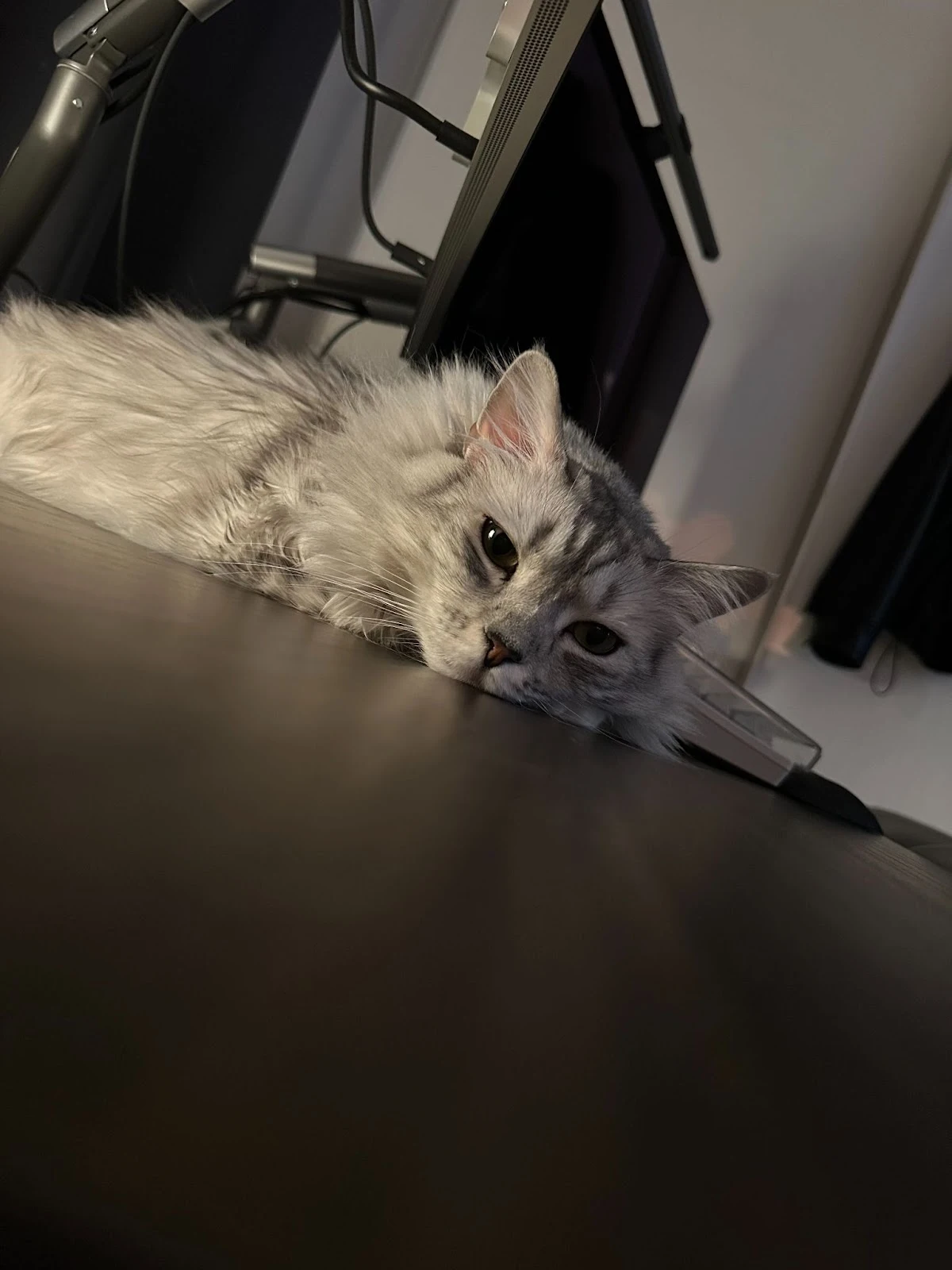 1ZGAzPuD5encrm5Lv5r4nRdQghPmKjTNvNSeqAgIPHYUA9kwjbJU_jSTmCNTHcm8eUMDe1q2Rn-tanNDMJ2O8p-UUKahbaFeWlEiLzQpfdnT1LSV9CFSjq6loEbe4rBvIc6DV1tUn_lPtIZbWA0Fd1J_Qqp9YrLgoLaSC7zsnxvzNyp3Rllu4r_h5vzNSg