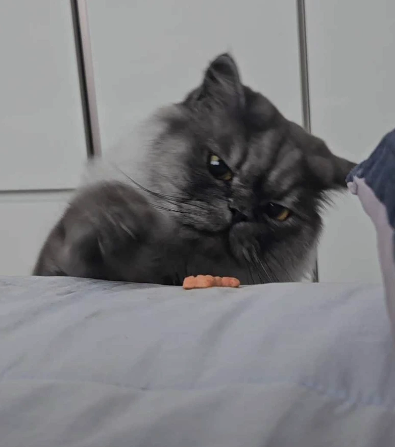 AD_4nXdcI6mStXNJOCipaT3Yerzj2Q8XZRRpu9ZXLnSkzCHhXTQQreSWtN_2kPKkj3Hpp9bATCPxOELBWRvsBd7gDO23PJ-UAzmwUryhnBHcYhpD7HOqoEQc-LBIzFJtfwyOJILQo1pIAQ?key=9M9JHe5LHBLCnFvgUEGRTg