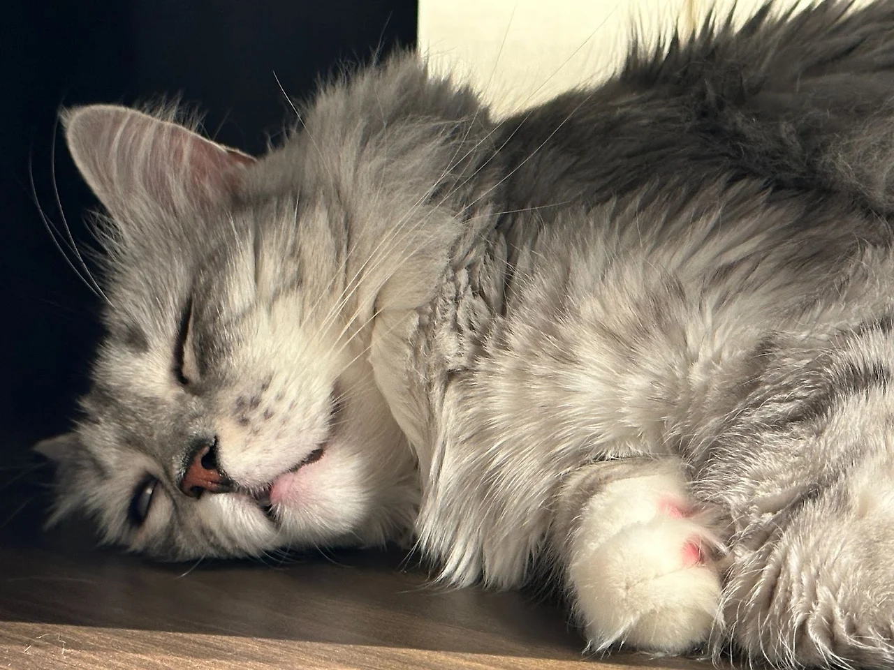 mqhGi8pVKLh9aWcH53VBOk9NpR1SJH2YoXzJ1LQCcoHS0UrWlqzmZmmKASVNYtLYULwqJh105OIVPlCfrCI2z2ic5NzyiBsDHeMxJI9oXwogiQUnkfdpfVGsbhmN4znJyNg1uGrsevXh67QD8TNcV-g0jGqaWxHB_gq_cGZZbRsWgYSa9i2rRbuxKOTBhg