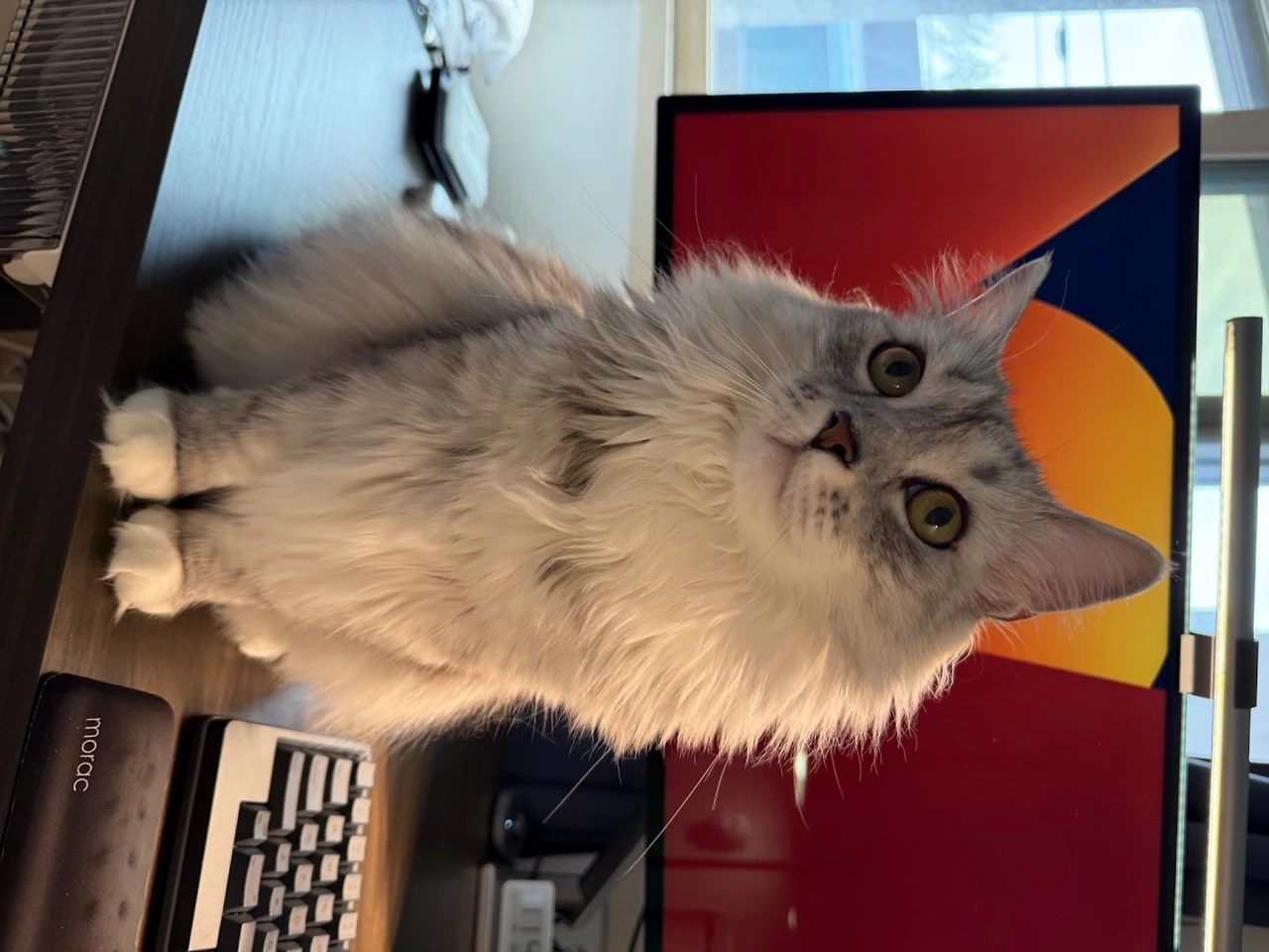 AD_4nXcFwNFtd2HZS6VEhm4B5UiMUDF5nxWAh0oY1kJBkA04M5xQuvA6TtlzA1pgfBA6pBvS6nqyx9W9iO5q6Espwprn6wJYYH7tJxnd5Fz-M3C8snxbagpq7zKMtDzVNcexaO6rRgI?key=gaN3xxIo4UWxD5wD06rryWLU