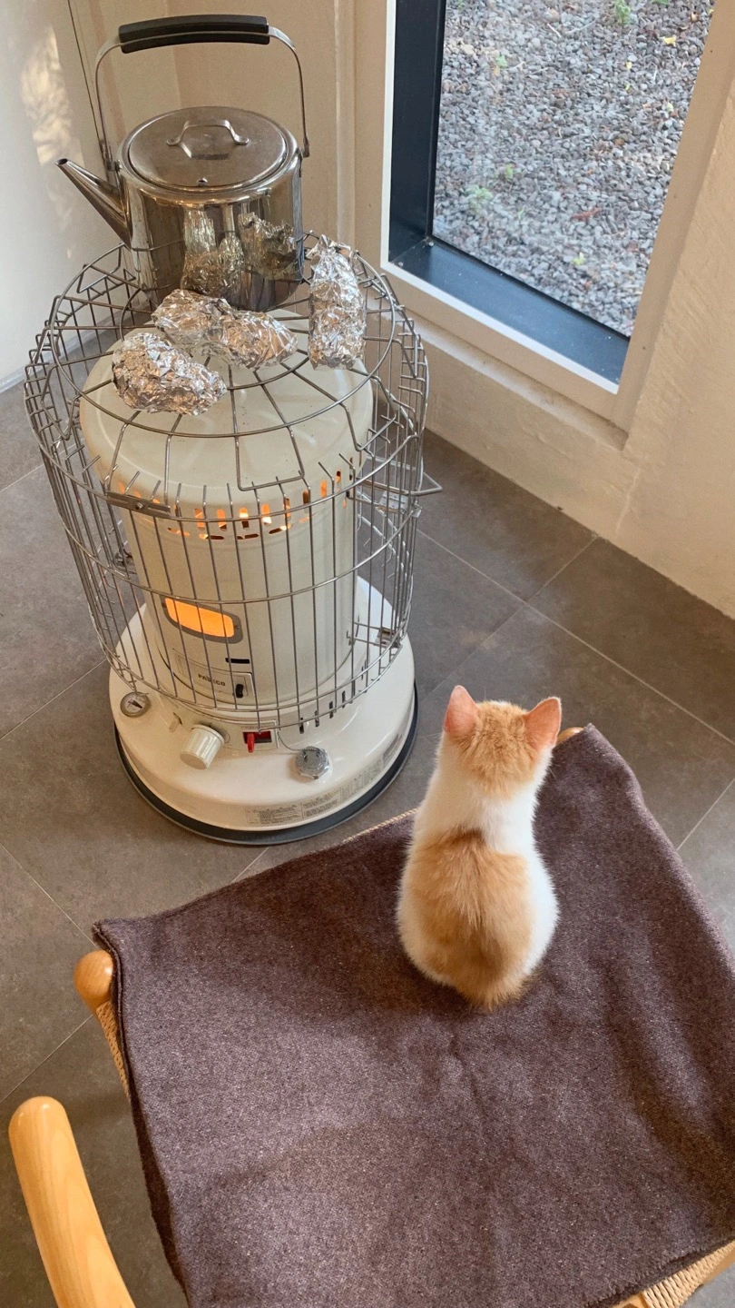 Xxp85PMNS8uooc8v7HUan6ULyCmc9-BfDlJwZKXkHrK42YylrcJVXCyZNrqb-aioSMszetlZri1bZSvw6pa-1DK7SjojYbhqF5H8Jq4kltviYO6ik5vvbqvRMWLLXujy5BXpV-JyT9hdliyebhh0DA