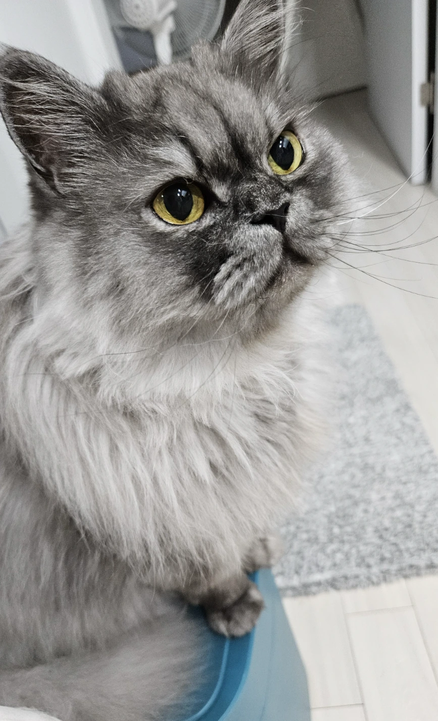 AD_4nXf3fPiwuSQDtID1kF2ByUBm0Ucz5FxRusIuI8z-YDY0-ckVjbC_g890gHLA2awt34QwOjhrP-DQDm7p56hlLYAn-AZsCzv0RzBTExC6nvkUk67IkhcFsN7JarIceAtIwPDbi96KigtkAigNAcS1ypGW9LHq?key=BzcFb5r2wtTrLELX8uYfSQ