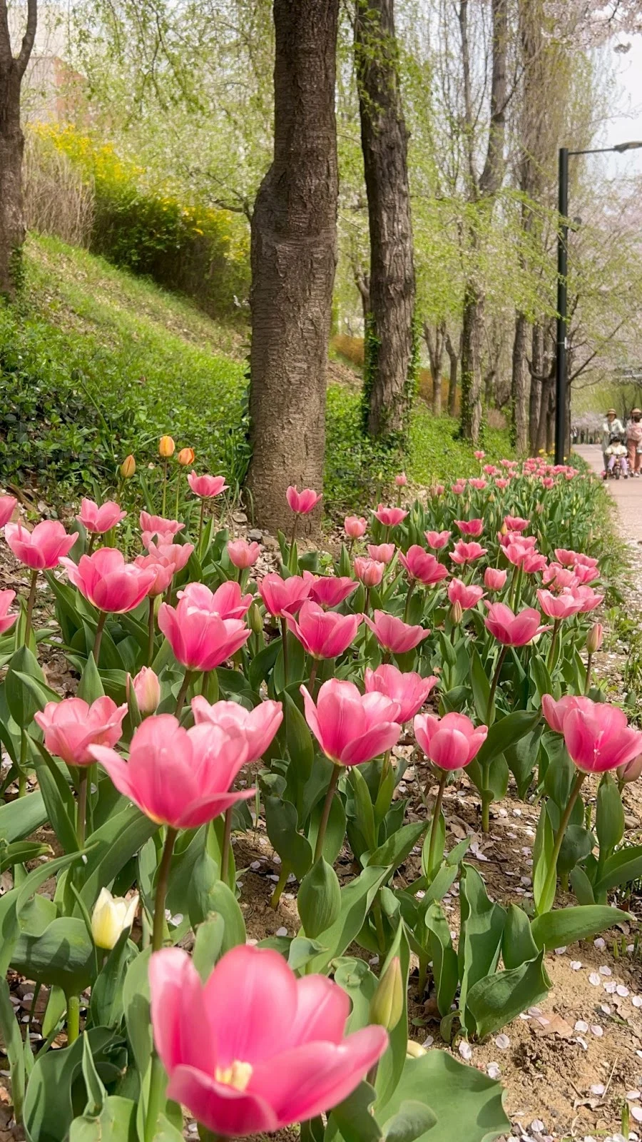 AD_4nXeRon6g0o5hjUibGQM59Im2sj2zES1cWQDww_8-gZJ7wihsysR38R-EXLB4SKQc5ddAZvP6R4PtpDymQ0An28C_NbykTSCePcpbjPBC8Gw2ekAorTnQQpBUBLtSVqp_AvNR73_AEg?key=gaN3xxIo4UWxD5wD06rryWLU