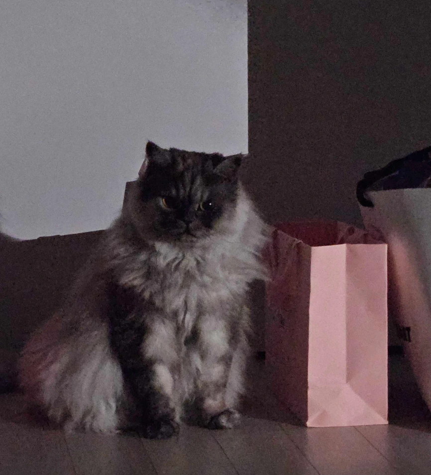 wX7FcnD5ru2t5t10efqgVKAxb5rgPQJGR6Xb9DJLGP30LatWDkmaEKEBoC0WU3WTyzT8o0r8Ie1FxBJG77Ls7s4VNQ3cxeF-6qDvSzYe8kp9jxx7nH6gycauin7RapQ-lVBaQoDuMjfqAEs4dPoeUw