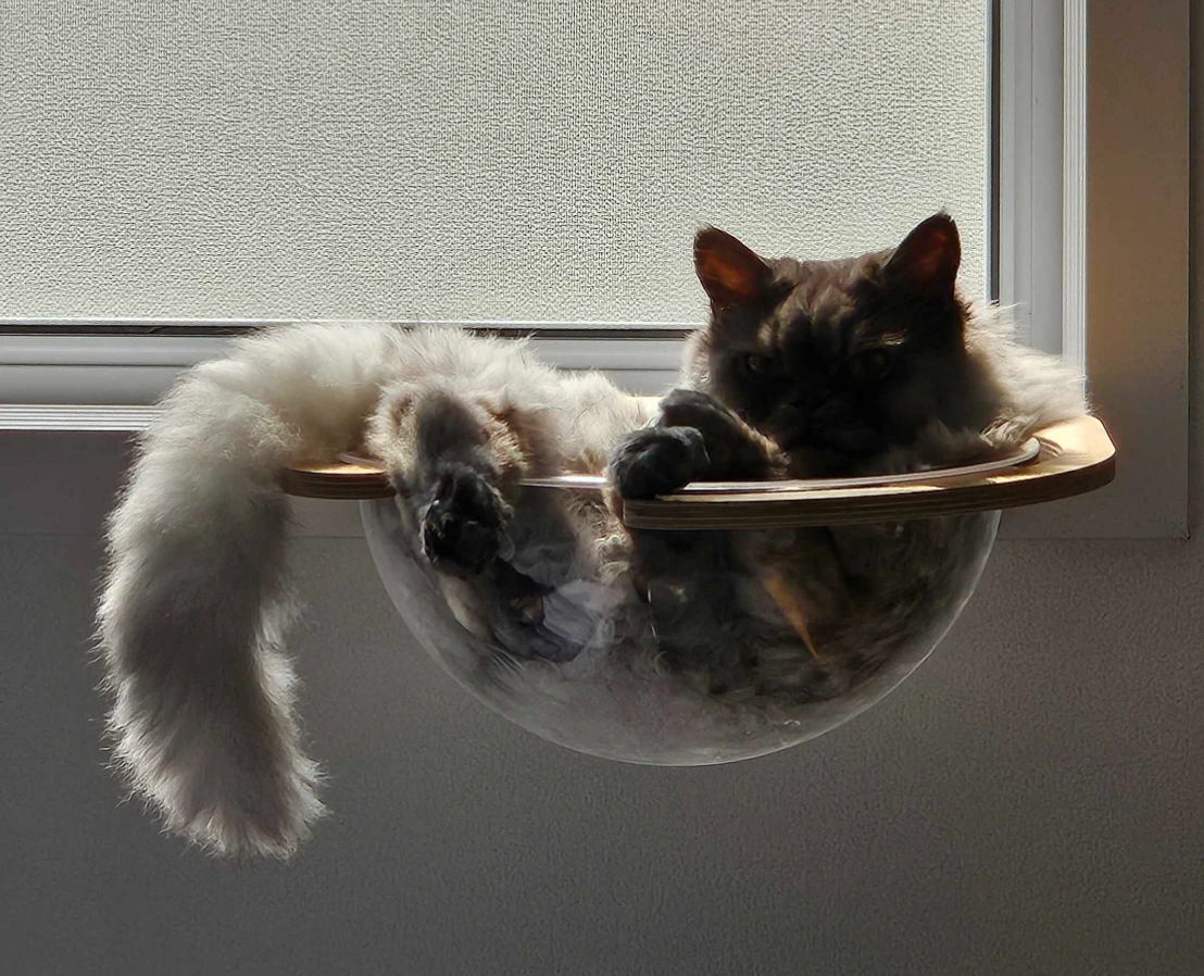 pCYVTt52dRfePraTkFTPsxI7TVzIKzv1kdPKhsNdPUQIbX6Ww-lYGboS4ZK9W_YnR9gg2l3Uuk9uy9fis7X8XQHEx5BICK5PZE32kegnWi_0b-Cqi4EMFnBPnehUx1mHKb01dJExVFXN2kCxcyQPSeU